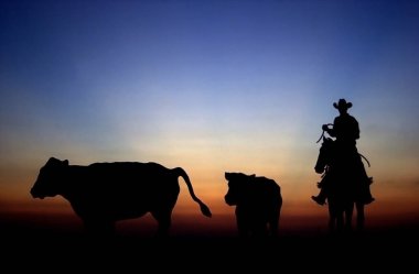 Jal yakınlarındaki kovboy heykeli, NM. 