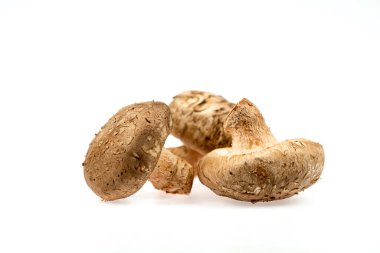 Taze Shiitake mantar grubu kırpma yolu ve tam derinlik ile beyaz arkaplanda izole.