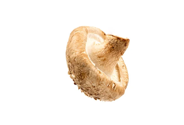 stock image Fresh Shiitake mushroom isolated on white background with clipping path and full depth of field.