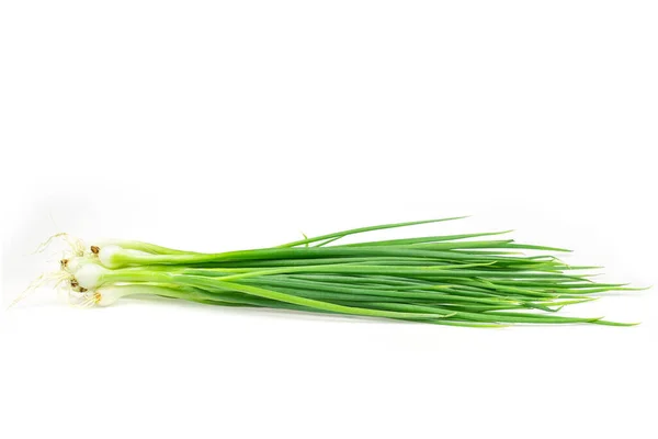 Spring Onion Isolated White Background — Stock Photo, Image