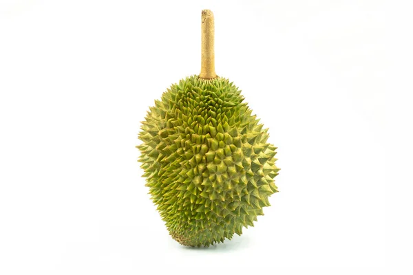 Durian Απομονωμένο Λευκό Φόντο — Φωτογραφία Αρχείου