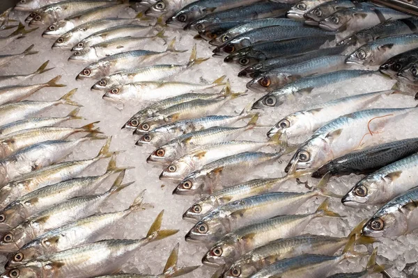 stock image Thai mackerel fish on ice in shopping malls, selective center focus, top view