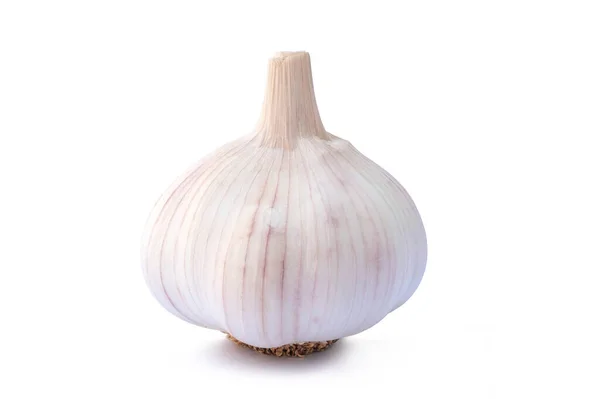 Raw Garlic Isolated White Background — Stock Photo, Image