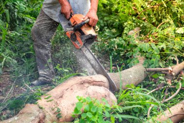 Dünya Çevre Günü konsepti: Küresel ısınmaya sebep olan odun kesme motoru kullanan adam ve 2.5.