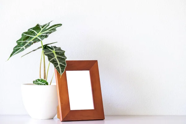 Brown modern wood desktop photo frame mock up and  Alocasia sanderiana Bull or Alocasia Plant on  white table and white wall background