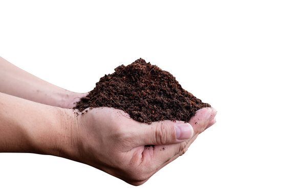 Hand holding fertile black soil. Agriculture isolated on white background with clipping path, organic gardening, planting or ecology concept. Environmental, earth day. Banner. Top view. Copy space.