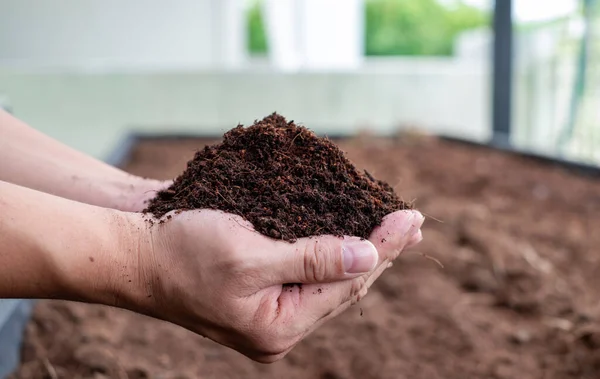 Verimli kara toprağı tutarken. Tarım, organik bahçe, ekme ya da ekoloji konsepti. Çevresel, toprak günü. Pankart. Üst Manzara. Uzayı kopyala Çiftçi ekmeden önce kontrol ediyor