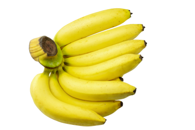 Taze olgun muzlar şeffaf arkaplanda izole edilmiş, tatlı sarı muz, Tayland ve tropikal meyve, PNG Arşivi