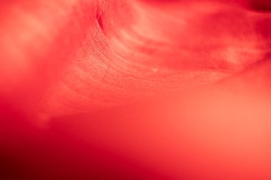 Fotokopi alanı, buruşuk beyaz kumaş, buruşuk beyaz kumaş, yumuşak odaklı parlak kırmızı kumaş dokusu ve dokusu soyut.