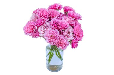 Beyaz arka planda kırpma yolu ile taze pembe veya mor güllerle dolu cam şişe vazosu. Sevgililer Günü romantik konsepti. Romantik pankartlar, düğün davetiyeleri ya da selamlar için tasarım