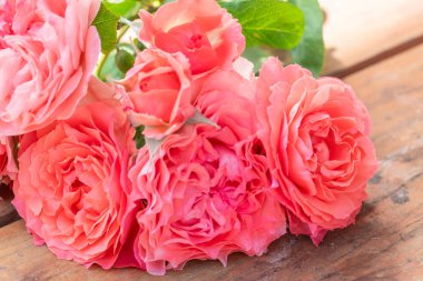 Güzel pembe bahçe gülleri, yemyeşil yapraklar ve yapraklar, tahta bir yüzeye yerleştirilmiş, güneş ışığı altında. Aşkın, aşkın ve zarafetin mükemmel bir sembolü..