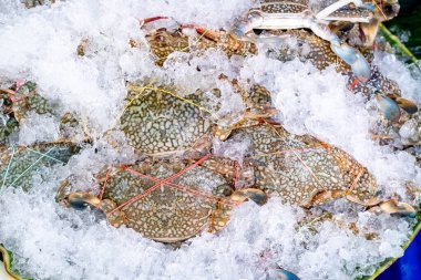 Deniz ürünleri pazarında buzda taze mavi yengeçler. Yengeçler rengarenk lastik bantlarla düzgünce düzenlenmiş ve bağlanmış. Mutfak ve ticari kullanım için tazelik ve kalite sergiliyorlar..