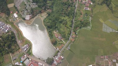 Pirinç tarlalarının en üst insansız hava aracının görüntüsü..