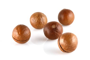 Kabuklu Macadamia fındıkları beyaz arka planda izole edilmiş. - Yakın çekim. Tam alan derinliği.