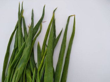 Beyaz arka planda taze yeşil soğan