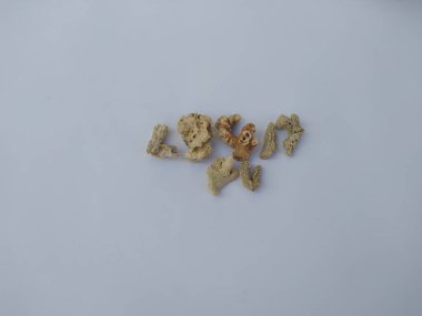 small coral reef stones on a white background
