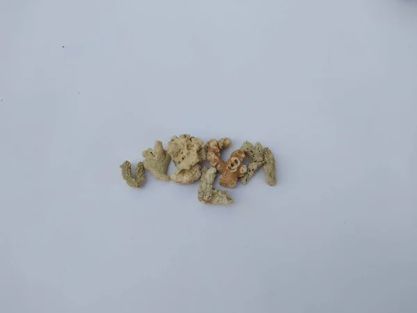 small coral reef stones on a white background