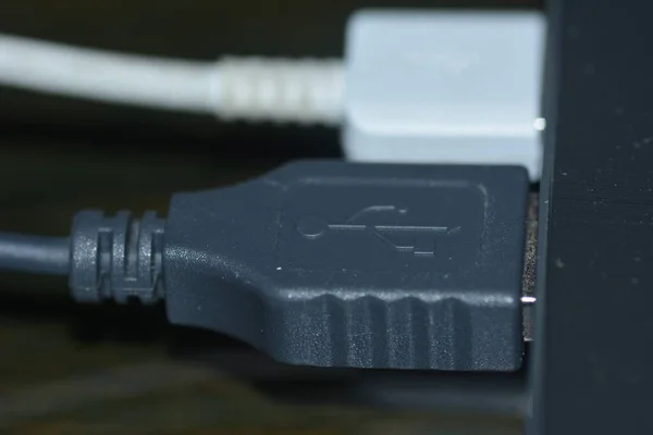 마우스 헤드와 충전기 케이블을 연결하기에 노트북에 꽂는다 — 스톡 사진