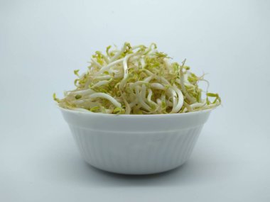 Küçük taze bir kasede fasulye filizlenir.