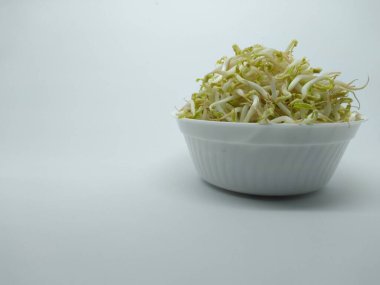 Küçük taze bir kasede fasulye filizlenir.