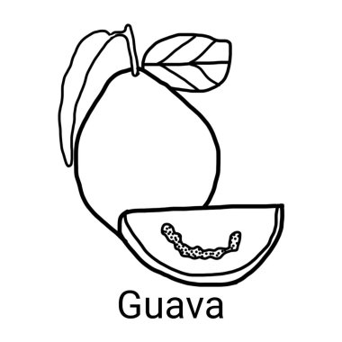 Guava meyve tasarımları ve isimleri çocuklar tarafından renklendirmek için kullanılır.