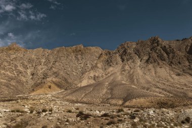 güzel doğanın resimsel manzarası