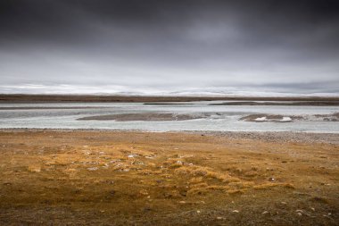 Arka planda bir nehir olan güzel bir manzara.