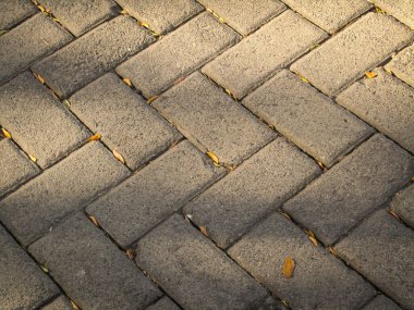 Düşen kuru yapraklar ve gölgelerle dolu yol desenleri öğleden sonra.