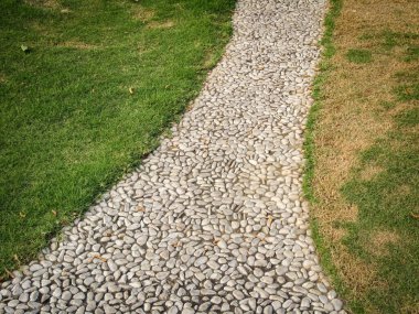 Parktaki yeşil çimenli beyaz taş desenli yol refleksoloji terapisi olarak kullanılabilir..