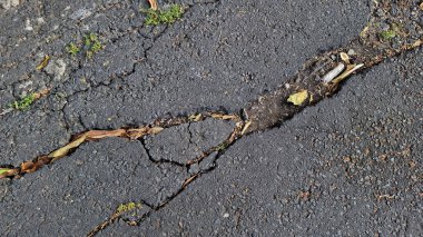 Surabaya - Haziran 05, 2023: Evangeline 