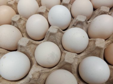 Kahverengimsi-beyaz yumurtaların fotoğrafları, aynı zamanda 