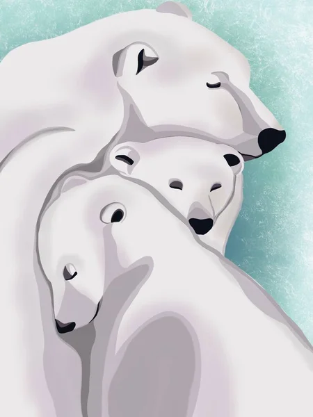 Grafische Illustration Von Schönen Bunten Familienbären Idee Für Hintergrund Symbole — Stockfoto