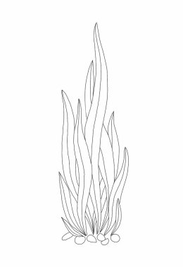 Taşlı siyah-beyaz mercan grafik sanatı. Simge, kitap ve sanat için fikir