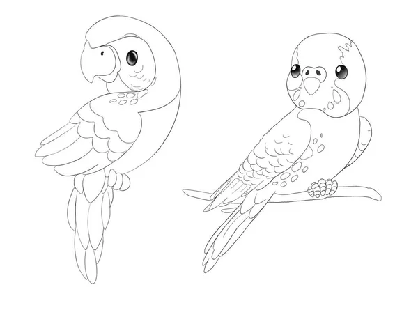 两只鹦鹉的黑白图解 女孩和男孩 儿童卡通画 印刷品的概念 — 图库照片
