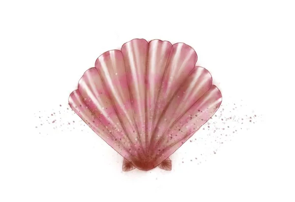 Illustration Pink Colourful Seashell Idea Art Books Childrens Cartoon — Stock Photo, Image