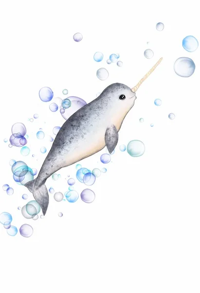 Lovely Ocean Narwhal Bubbles Idea Cartoon Books Icon Childrens Art — Stock Photo, Image