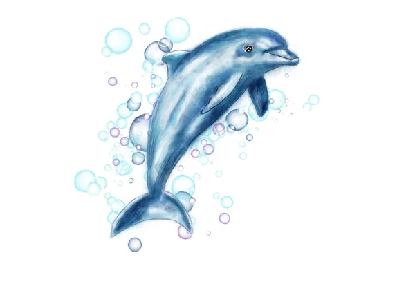 Färgglada Ocean Delfin Med Blå Bubblor Idé För Ikon Böcker — Stockfoto