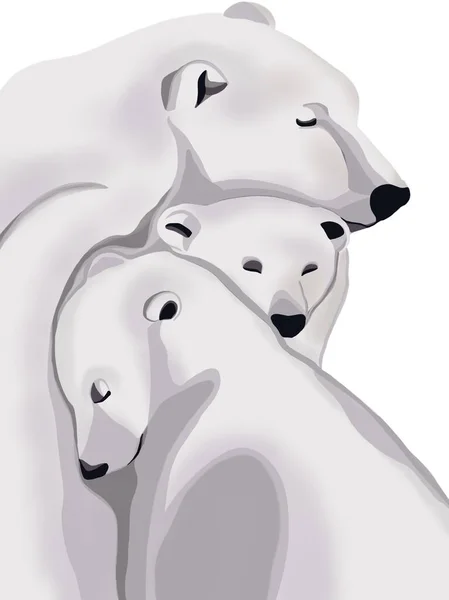 Graphic illustration of lovely colourful family bears . Idea for background, icons, print, banner, childrens books, cartoon, art