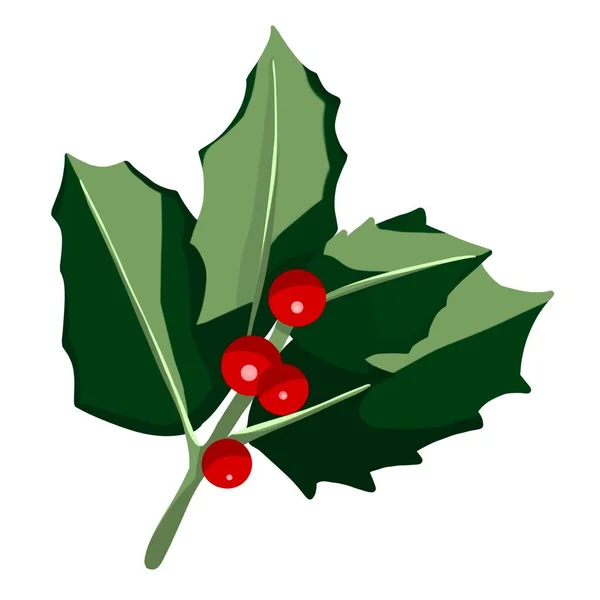 Graphic Illustration Christmas Leaf Berries Hawthorn Idea Cartoon Books Art — Stock Photo, Image