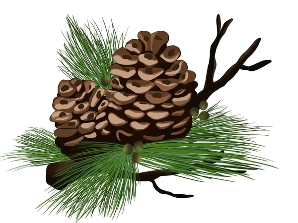 Ilustracja Graficzna Zimowego Stożka Drzewnego Pomysł Sztukę Książki Kreskówki Druk — Zdjęcie stockowe