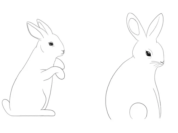 Черно Белая Графическая Иллюстрация Двух Милых Кроликов Идеи Иконы Стикеры — стоковое фото