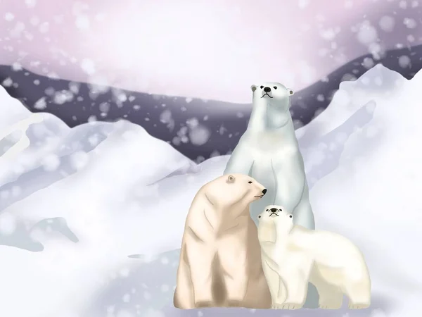 Γραφική Απεικόνιση Τριών Αρκούδων Χιονισμένο Χειμώνα Ιδέα Για Φόντο Εκτύπωση — Φωτογραφία Αρχείου