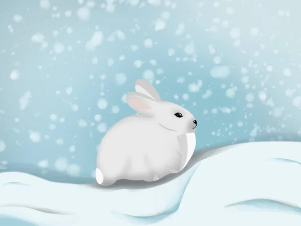 雪の冬に白いウサギのグラフィックイラスト バナー 子供の本 アート 漫画のアイデア — ストック写真