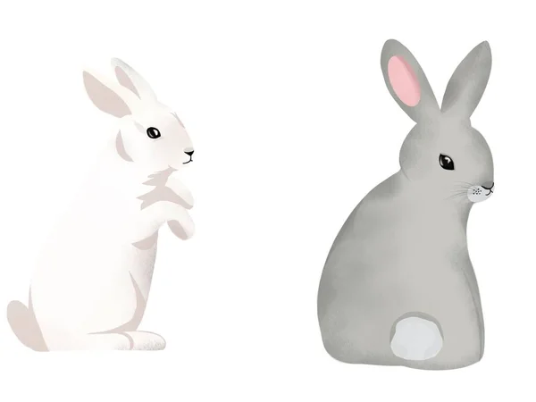 两只可爱的兔子的图解 印刷品 儿童文学 卡通画的概念 — 图库照片
