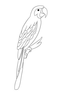 Bir dalda siyah beyaz papağan. Çıkartmalar, baskı, sanat, kitaplar, karikatür, grafiti, simge, çocuklar için boyama kitabı