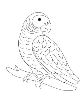 Bir dalda siyah beyaz papağan. Çıkartmalar, baskı, sanat, kitaplar, karikatür, grafiti, simge, çocuklar için boyama kitabı