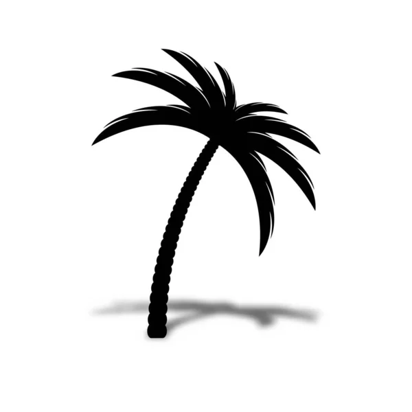 Date Palm Vector Icon Symbol — Stock Vector