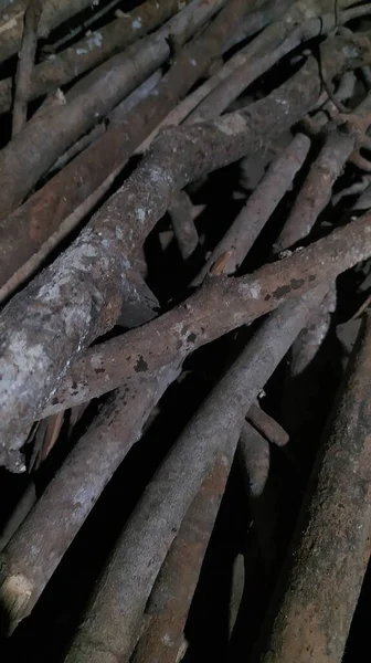 Pile Dry Wood Fuel — Stock Photo, Image