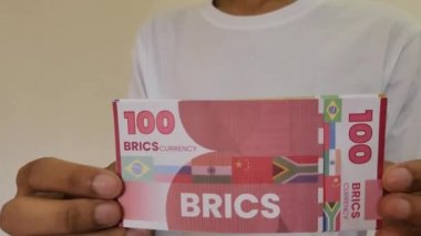 Dolar Hakimiyetini Sarsabilecek Bir Brics para birimi çizimi