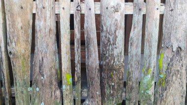 Katı ahşaptan yapılmış geleneksel çitler.